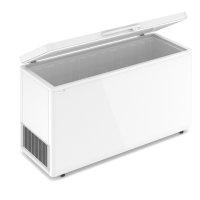 Морозильный ларь FROSTOR Standart  F600S